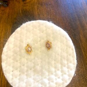 Turtle Earrings
